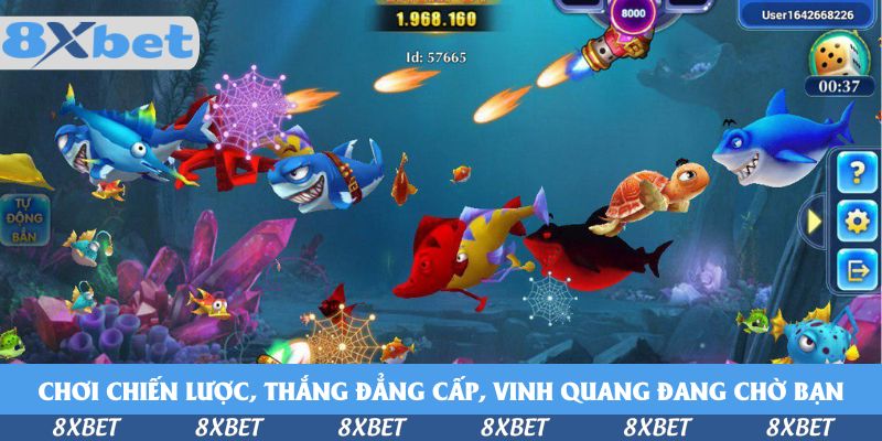 Chơi chiến lược, thắng đẳng cấp, vinh quang đang chờ bạn